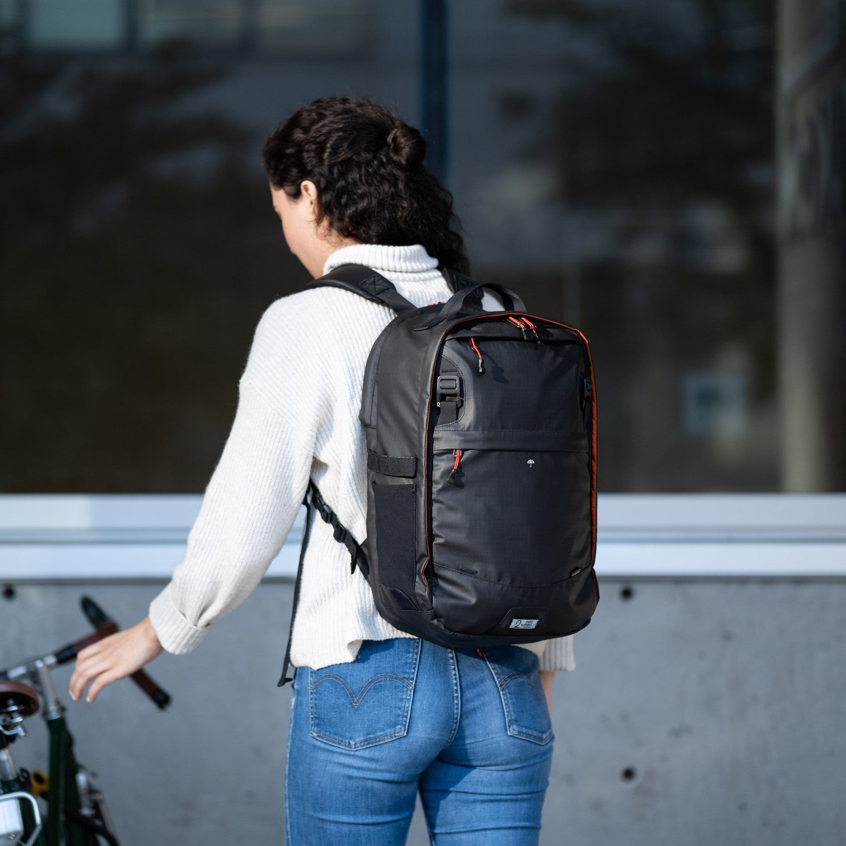 Shops backpack panniers